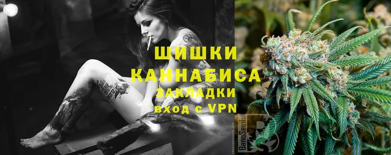 где купить наркоту  Белозерск  Каннабис SATIVA & INDICA 